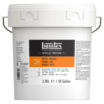Liquitex Professional Matte Varnish Akrilik Mat Vernik 3.78 Litre