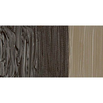 Van Gogh Yağlı Boya 40 ml Seri 1 Raw Umber 408