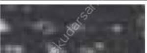 Derwent Soft Pastel Kalem P660 Seal