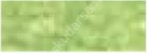 Derwent Soft Pastel Kalem P480 May Green